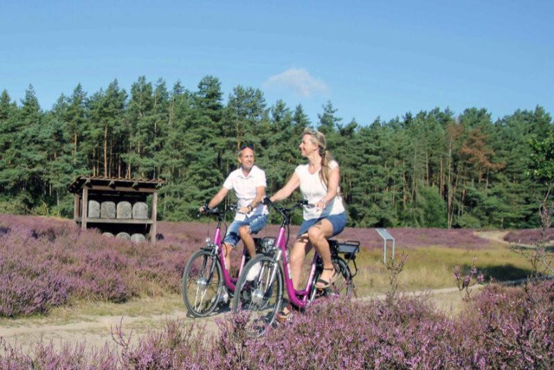Апартаменты Ruhepol Fuer Mensch & Tier In Der Lueneburger Heide Vierhofen Экстерьер фото