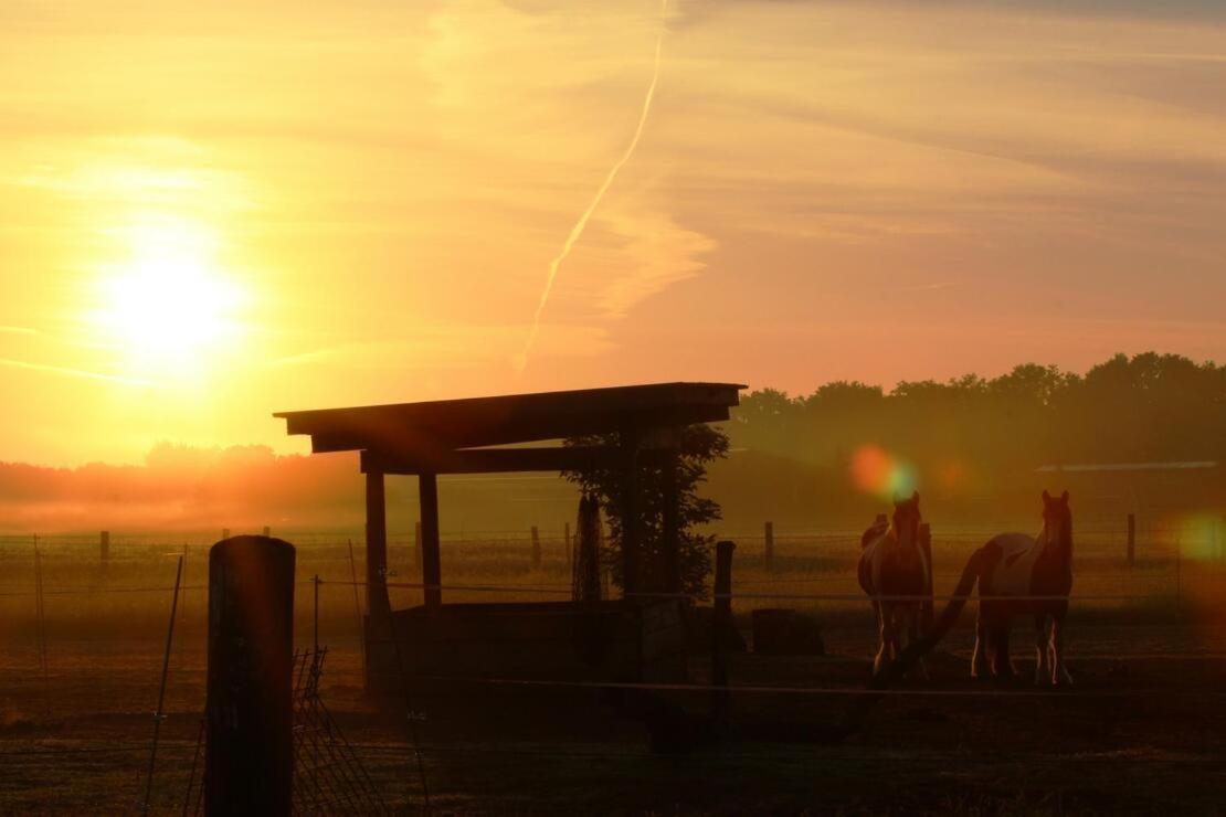 Апартаменты Ruhepol Fuer Mensch & Tier In Der Lueneburger Heide Vierhofen Экстерьер фото